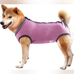 Dog surgical suit